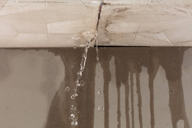 Professional Burst Pipe Cleanup technician working in Henning, TN